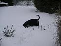 Bild 392